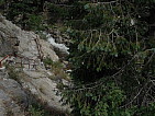 dscn0397.jpg