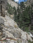 dscn0398.jpg