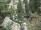 dscn0405.jpg