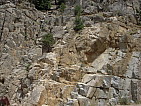 dscn0406.jpg