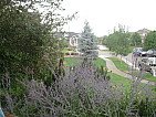 dscn0482.jpg
