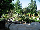 dscn0492.jpg