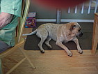dscn0500.jpg