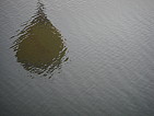 dscn0580.jpg