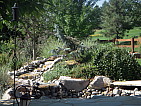 dscn0645.jpg