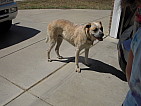 dscn0647.jpg