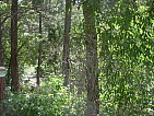 dscn0660.jpg