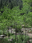 dscn0662.jpg