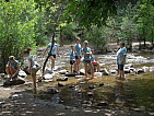 dscn0676.jpg