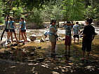 dscn0677.jpg