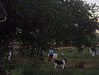 dscn0701.jpg