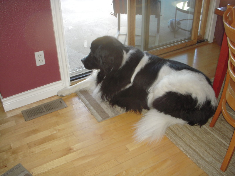 dscn0721.jpg