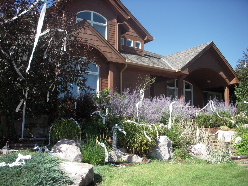 dscn0723.jpg
