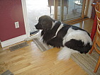 dscn0721.jpg