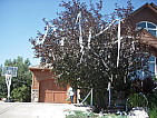 dscn0724.jpg