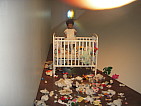 dscn0738.jpg