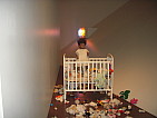 dscn0739.jpg